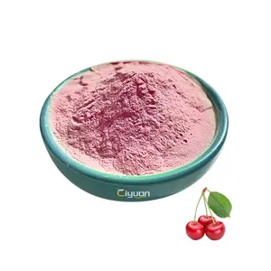 Bulk Acerola Cherry Extract Pulver 17% 25% Vitamin C Pulver