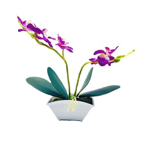 Planta Artificial de Orquídea Phalaenopsis Qi Xing de 20 cm en Maceta, Decoración Floral para Interiores - Product Image 5