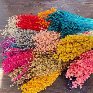 <span class=keywords><strong>Bouquet</strong></span> de <span class=keywords><strong>fleurs</strong></span> <span class=keywords><strong>séchées</strong></span> et préservées Rich Beans 16 couleurs 50g et lots d'artisanat pour la Fête des Mères - Product Image 2