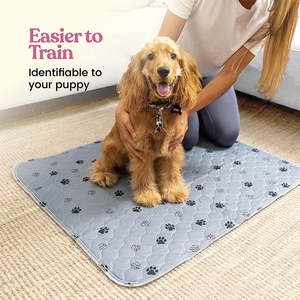 <strong>Hot</strong> <strong>Sales</strong> JIUZE Super Absorbent Reusable <strong>Puppy</strong> <strong>Pads</strong> Washable Non Woven Fabric &amp; Short Plush Pet Potty Training Aids - Product Image 2