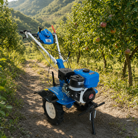 Vente Chaude Haute Qualité 7-15CV Motoculteur à Essence Refroidi par Air Mini Tracteur de Marche à Deux Roues Motobineuse