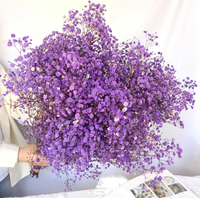 Ewiger Gypsophila Trockenblumenstrauß für Straßenverkauf DIY-Materialien für Muttertag und Ostergeschenke Großhandel