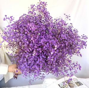 Vĩnh Cửu Gypsophila hoa khô bó hoa đường phố gian hàng tự làm vật liệu cho ngày của mẹ và quà tặng phục sinh bán buôn - Product Image 6