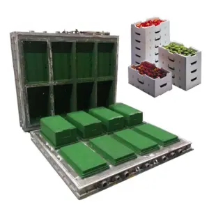 चीन मिश्र धातु Molds के लिए ईपीएस ढालना मोल्ड प्लास्टिक फोम मछली बॉक्स