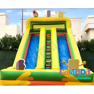 Castillo Inflable de PVC con Tobogán para Fiestas al Aire Libre, Doble Carril, para Uso Escolar, con Soplador de Aire - Product Image 1