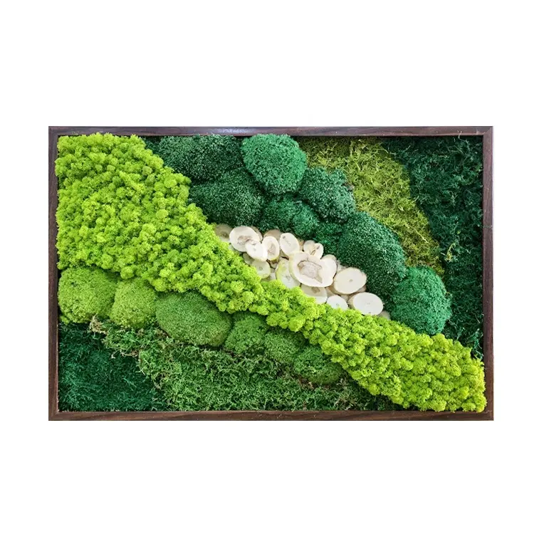 Wholesale Interior Decoration Home Real Green Plant Wall Decor Natural Dried reindeer Preserved Moss Frame Stabilized Lichen