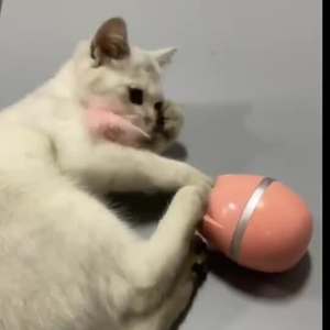 Juguete Interactivo de Plástico con Cara de Gato, Juguete para Gatos con Plumas, Resistente a Mordidas, para Masticar y Divertirse - Product Image 6