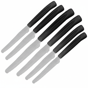 Lot de 6 couteaux de table en acier inoxydable avec lames et pointes dentelées Couteau de cuisine à manche creux en PP de 10 cm de long Boîte de 72 - Product Image 2