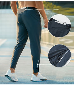 Pantalon de sport décontracté pour homme Séchage rapide Respirant pour l'entraînement d'été et d'hiver Logo personnalisé pour l'entraînement de course et de fitness - Product Image 2