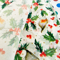 Sac en papier translucide personnalisé pour vêtements et chaussures, écologique, biodégradable, vente en gros, estampage à chaud, sac d'impression biodégradable