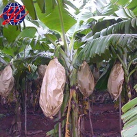 Sac de protection pour bananes écologique en vente au Guatemala et en Équateur, sac à fruits pour bananes