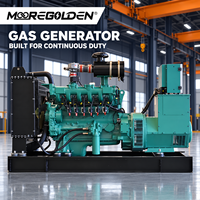 Automatisch Startender 40kW 50kVA Biogas-Generator für Landwirtschaft und Abfallenergie-Projekte