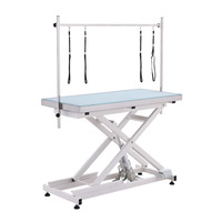 Table de toilettage électrique à Led pour chiens, ascenseur croix, outil pour toilettage d'animaux, en solde,