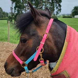 2026 Cabestro y Cuerdas de Amarre para Caballo de Alta Calidad en PP/PVC, Cómodos, Estilo Montura Western, Equipo Ecuestre, Tamaño Personalizable - Product Image 6