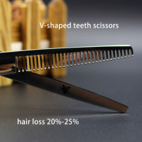Beauté ciseaux à cheveux professionnel coiffeur ensemble de ciseaux sac argent personnalisé outils en acier PVC inoxydable Logo Style emballage pointu