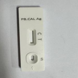 빠르고 정확한 윈바이오 애완조류용 칸디다 알비칸스 검사 키트, 간편한 조작, 수의학용 - Product Image 3