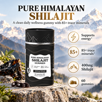 Gummies de Shilajit Pur de l'Himalaya 400mg avec plus de 85 Oligo-éléments, Soutien Énergétique, Complément Herbal, Vente Directe Usine, 60 Comprimés
