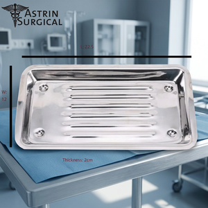Bandeja dental de acero inoxidable autoclavable para hospitales y clínicas Instrumentos quirúrgicos Basis Scaler Tray Instruments - Product Image 3