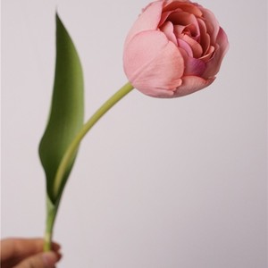 <span class=keywords><strong>Prix</strong></span> d'usine, tulipes artificielles au toucher réel, vente en gros, tulipes hydratantes pour la décoration de la maison, de mariage et de table - Product Image 3