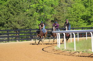 Clôture de piste de <span class=keywords><strong>course</strong></span> de <span class=keywords><strong>chevaux</strong></span> en PVC haute sécurité résistant aux UV - Product Image 2