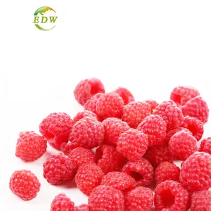 Manufacturer Supply High Quality Red Raspberry Extract For Food Additive