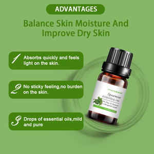 Werkspreis Schlussverkauf weitverbreitet 100 % reines und natürliches Spearmint Ätherisches Öl für Großkauf - Product Image 5