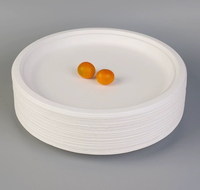 Lot de Plats Jetables Biodégradables Anti-fuite en Bagasse pour Plats à Emporter, Barquettes Déjeuner, Emballages à Emporter, Kits de Fournitures pour Fêtes - Vente en Gros