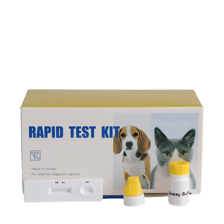 Kit de prueba rápida de anticuerpos de Leptospira canina para perros, kit de prueba rápida de Leptospira para perros, kit de prueba veterinaria Para perros mascotas