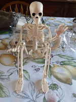 Accessoires de maison hantée pour cimetière d'Halloween 16 pouces Crâne articulé en plastique Décoration de squelette suspendu d'Halloween