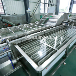 500kg Trái Cây Rau làm sạch dây chuyền sản xuất rửa và sấy khô trái cây khoai tây cà chua máy giặt - Product Image 4