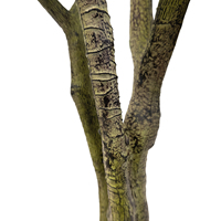Arbre d'olivier artificiel réaliste en gros, 210 cm (7 pieds), en pot, grand arbre artificiel sur pied, pour hôtel, bureau, décoration commerciale, plante d'olivier artificielle