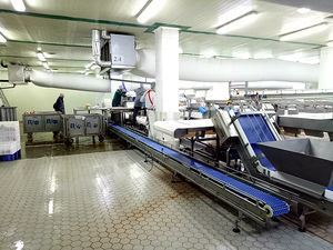 Línea de Producción Industrial de Carne para Procesamiento de Alimentos en Mataderos y Plantas de Sacrificio - Product Image 4