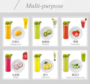 制造商个人便携式果汁搅拌机双瓶商用榨汁机迷你液体 - Product Image 4