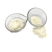 Poudre d'oignon blanc racine déshydratée et cuite en vrac, mouture 100 mesh