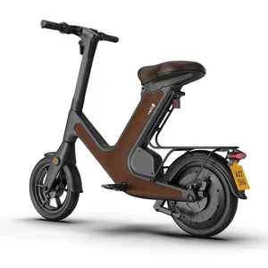 48V Removable Battery Max 40km Per Charge IOT E-Bikes 25KM/H High End OEM ODM Customizable Electric Bicycle Electric Scooter