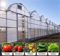 Kit complet de serre hydroponique pour fraises en seau hollandais - Meilleures ventes
