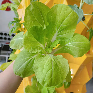 <strong>Aeroponic</strong> Growing <strong>Towers</strong> Vertical Garden Hydroponic System - Product Image 4