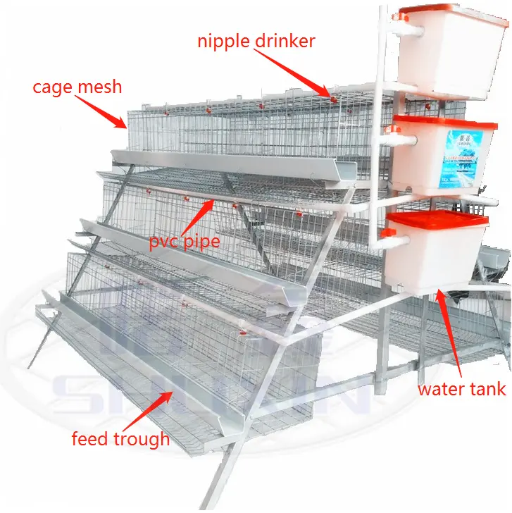 Comorin layer Chicken Battery Cages For 1000 Birds Poultry Farm Design Layout
