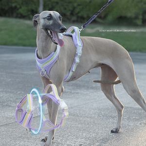 Arnés ajustable <span class=keywords><strong>para</strong></span> perro, correa <span class=keywords><strong>para</strong></span> el pecho, bonito y colorido, transpirable, de nailon, conjunto de correa <span class=keywords><strong>para</strong></span> mascotas, Anti Escape, perro con asa, galgo - Product Image 1