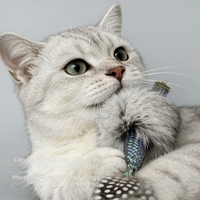 Jouet d'enrichissement pour chat, poupée sirène en fourrure de lapin câline, avec plumes et papier froissé, baguette de chat, fournitures apaisantes pour animaux de compagnie