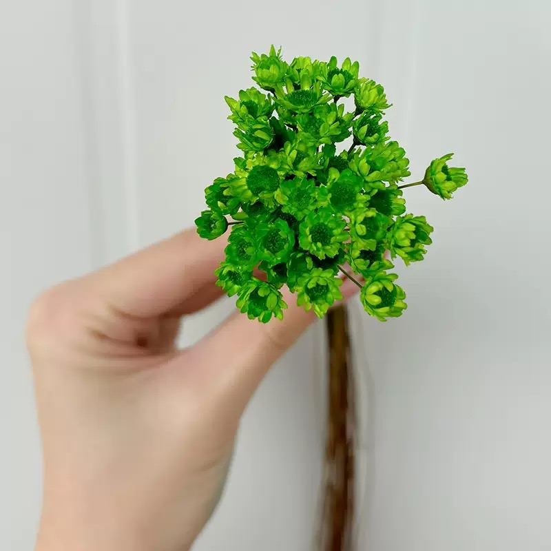 Vert