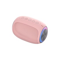 Haut-parleur sans fil portable pour extérieur, mini audio, 5W de sortie, batterie au lithium, avec lecteur de carte et fonction de rappel vocal