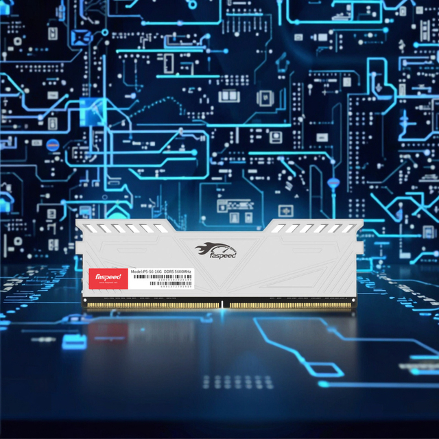 Faspeed DDR5 16GB 4800MHz ECC Desktop Gaming RAM-High Performance 3-Year Warranty in Stock
