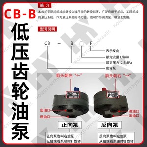 Bomba de engranajes Cb B, modelos Cb B10, B4, B6, B16, B20, B25, B32, B40, 50, 63, piezas de bomba hidráulica para uso industrial - Product Image 2
