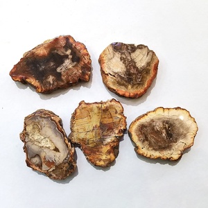 Vente en gros de bois pétrifié naturel, bois poli, fossile, dalle, pierre brute, tranche, spécimen, décoration, artisanat, pièce de bois pétrifié - Product Image 4