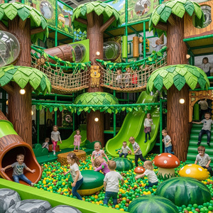 Équipement de terrain de jeu intérieur commercial pour enfants, structure de jeu personnalisée avec fosse à balles, sur le thème de la forêt - Product Image 5