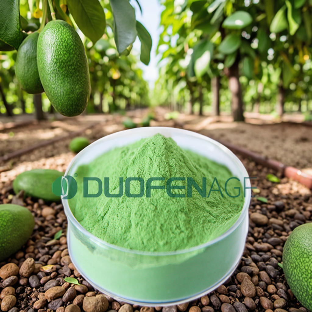 Wholesale Organic Seaweed Fertilizer Powder for Avocado Farms