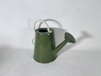 Arrosoir en acier galvanisé vintage durable personnalisé de 1,5 L pour plantes d'intérieur et d'extérieur