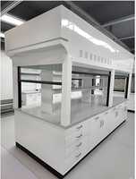 Hotte de laboratoire métallique de haute qualité à prix abordable, anti-explosion chimique, avec conduit, pour usage hospitalier et scolaire