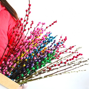 Fornitura di Fabbrica di Fiori di Salice Argentato Preservati per Decorazioni Natalizie, del Ringraziamento e del Capodanno Cinese - Product Image 3